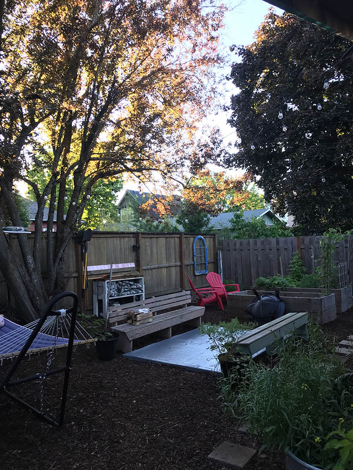 Photo of property's backyard